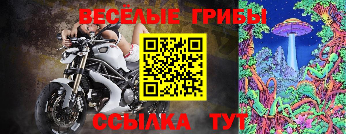Галлюциногенные грибы Psilocybine cubensis  Псилоцибиновые грибы Psilocybine cubensis  Советская Гавань  Вход с VPN 